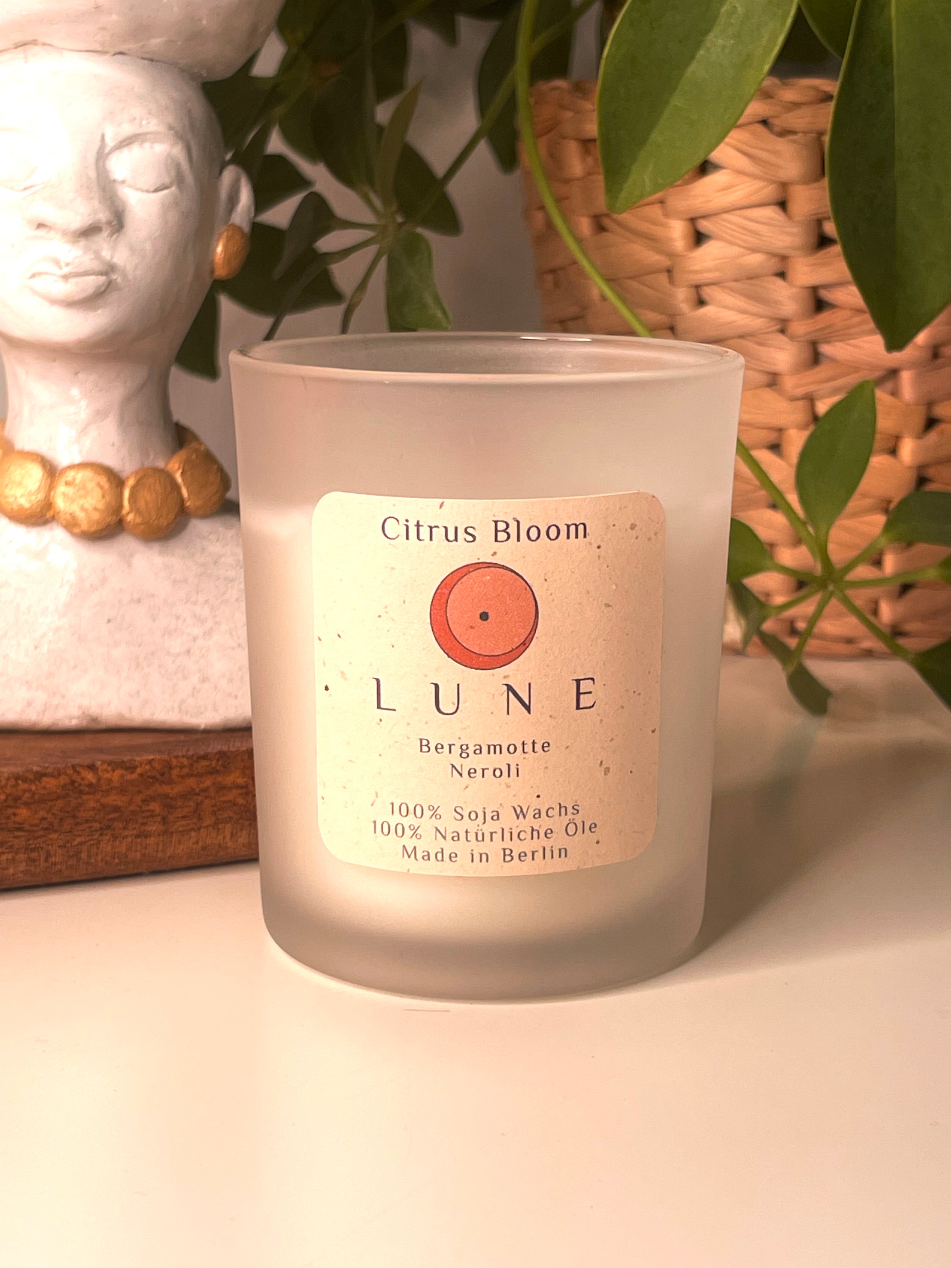 Citrus Bloom