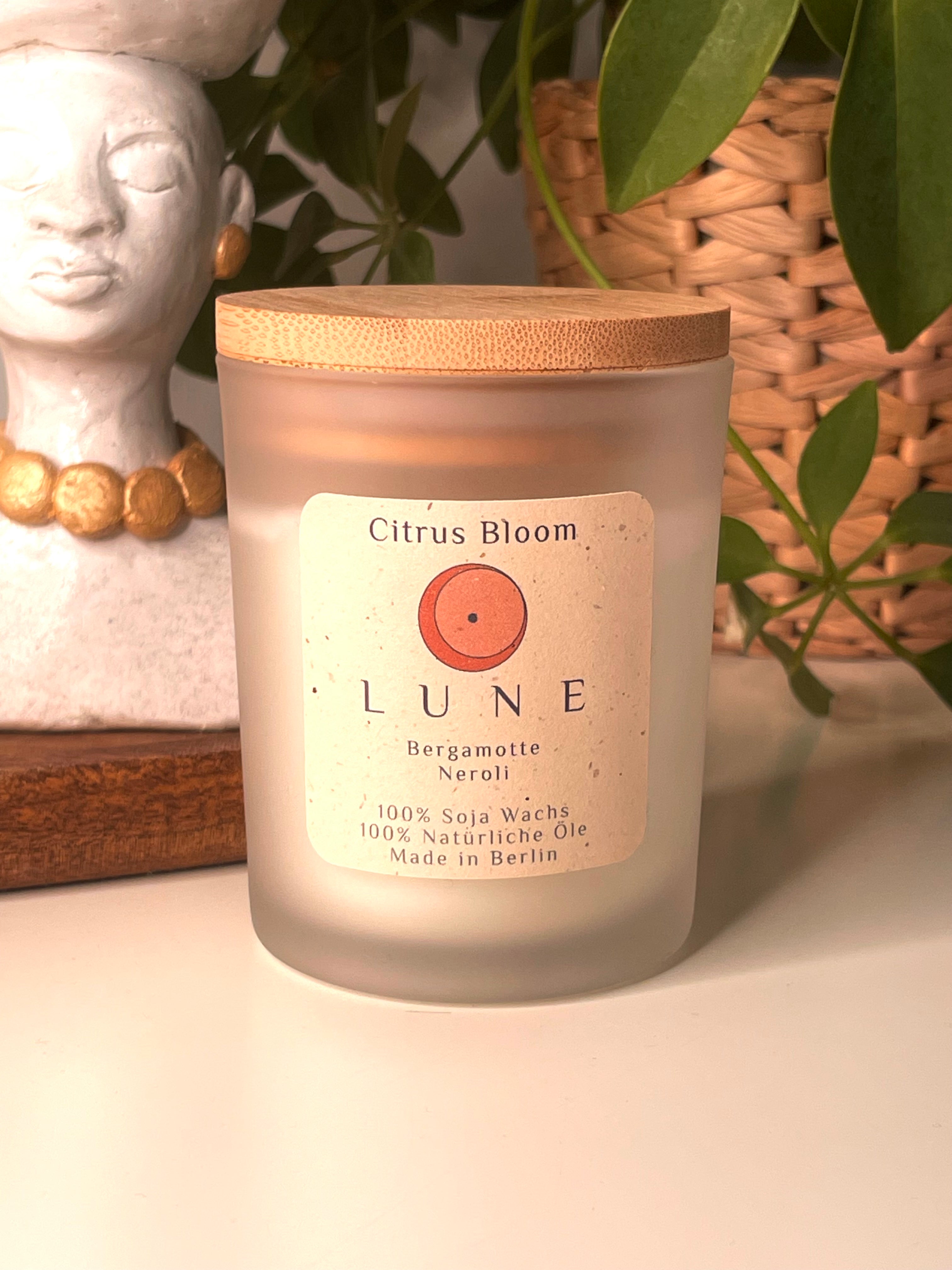 Citrus Bloom