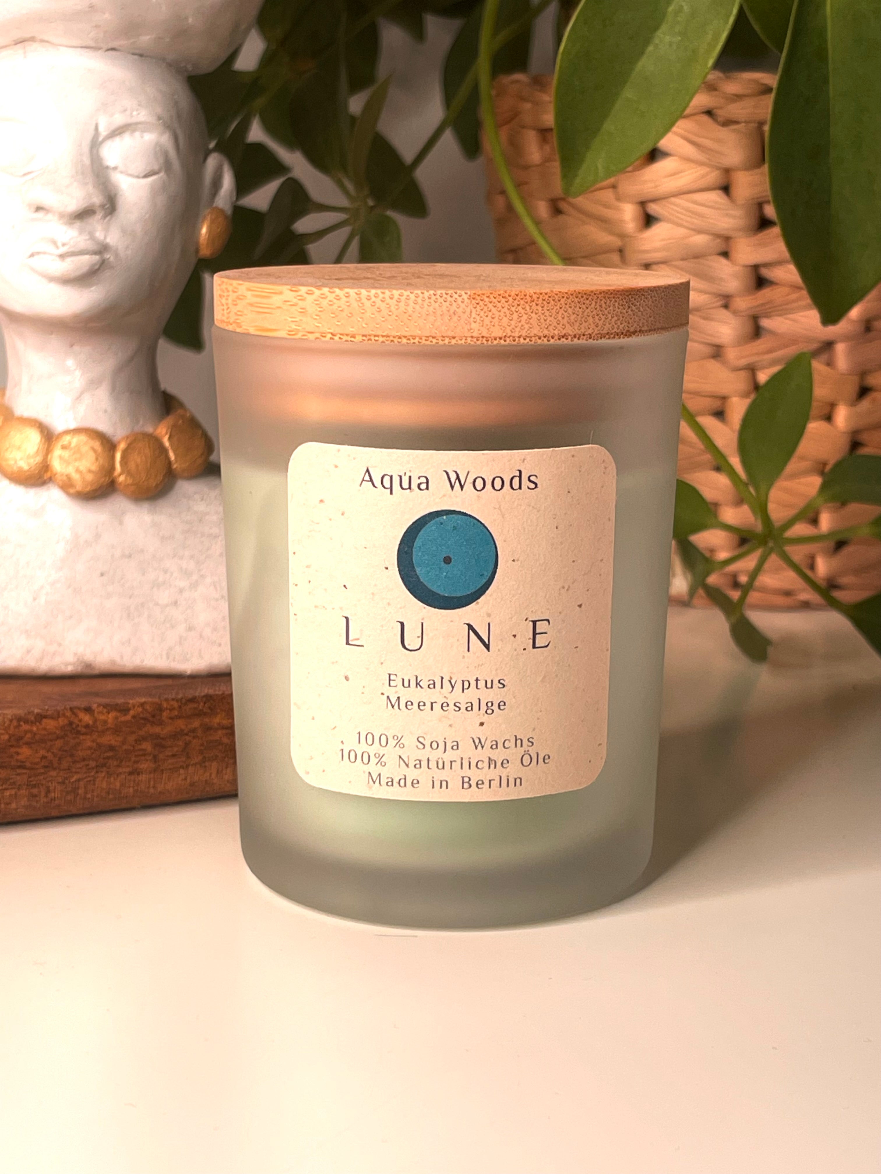 Aqua Woods